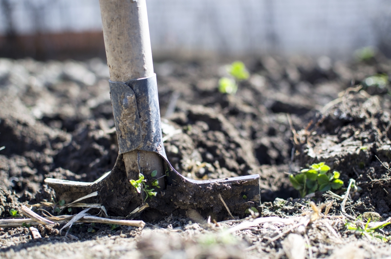 jardinerie-ST CYR SUR MER-min_equipment-2047314